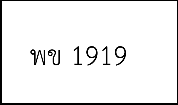 พข 1919